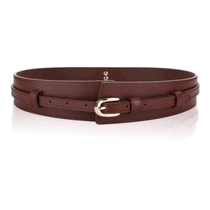 Dark Brown Metal Closure Wide Belt